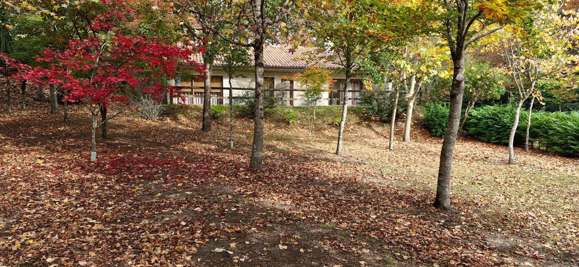 Bungalows - Serra Do Geres Campo do Gêrez Exterior foto